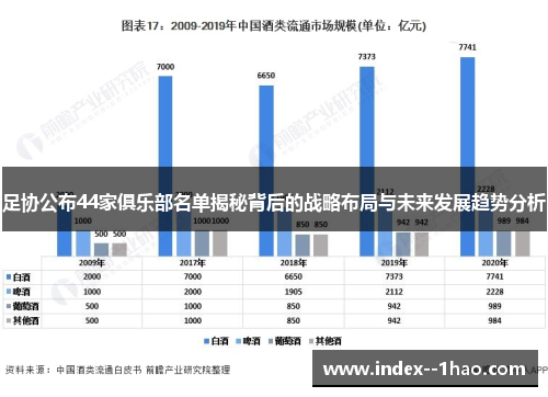 足协公布44家俱乐部名单揭秘背后的战略布局与未来发展趋势分析