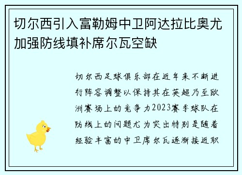 切尔西引入富勒姆中卫阿达拉比奥尤加强防线填补席尔瓦空缺 切尔西引入富勒姆中卫阿达拉比奥尤加强防线填补席尔瓦空缺